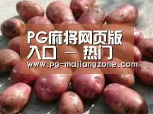 产品展示标题5