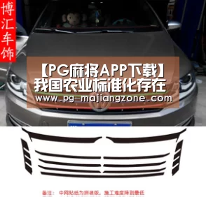 PG麻将网页版入口
