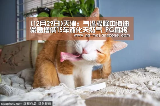 (12月29日)天津:气温骤降中海油紧急增供15车液化天然气_PG麻将网页版入口(图1) PG电子娱乐