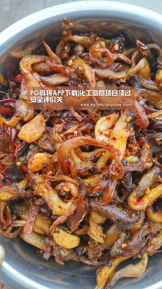 PG麻将APP下载|化工高危项目须过安全评价关(图1) PG棋牌