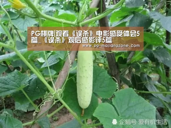 PG棋牌|观看《误杀》电影感受体会5篇_《误杀》观后感影评5篇(图1) PG棋牌