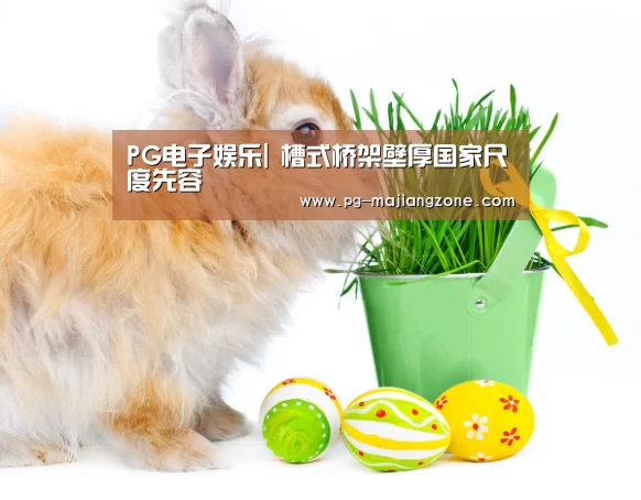 PG电子娱乐|
槽式桥架壁厚国家尺度先容(图2) PG棋牌