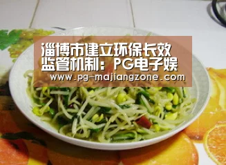 淄博市建立环保长效监管机制:PG电子娱乐(图1) PG电子娱乐