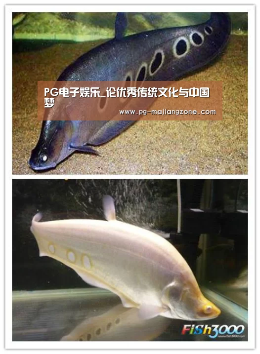 PG电子娱乐_论优秀传统文化与中国梦(图1) PG麻将网页版入口