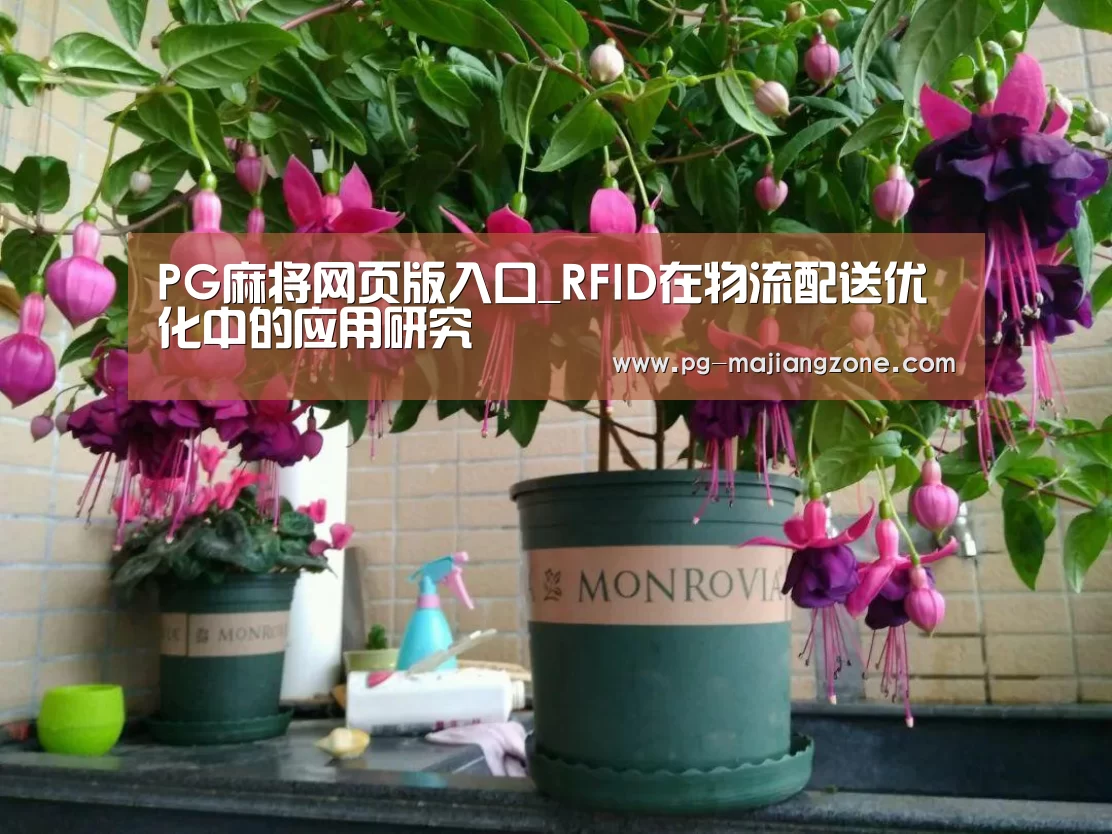 PG麻将网页版入口_RFID在物流配送优化中的应用研究(图1) PG麻将APP下载