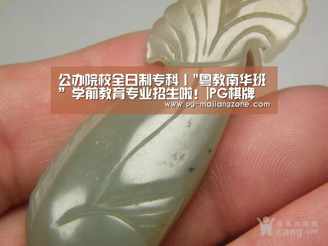 公办院校全日制专科丨粤教南华班”学前教育专业招生啦!|PG棋牌(图4) PG棋牌